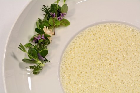 Vorspeise Impression